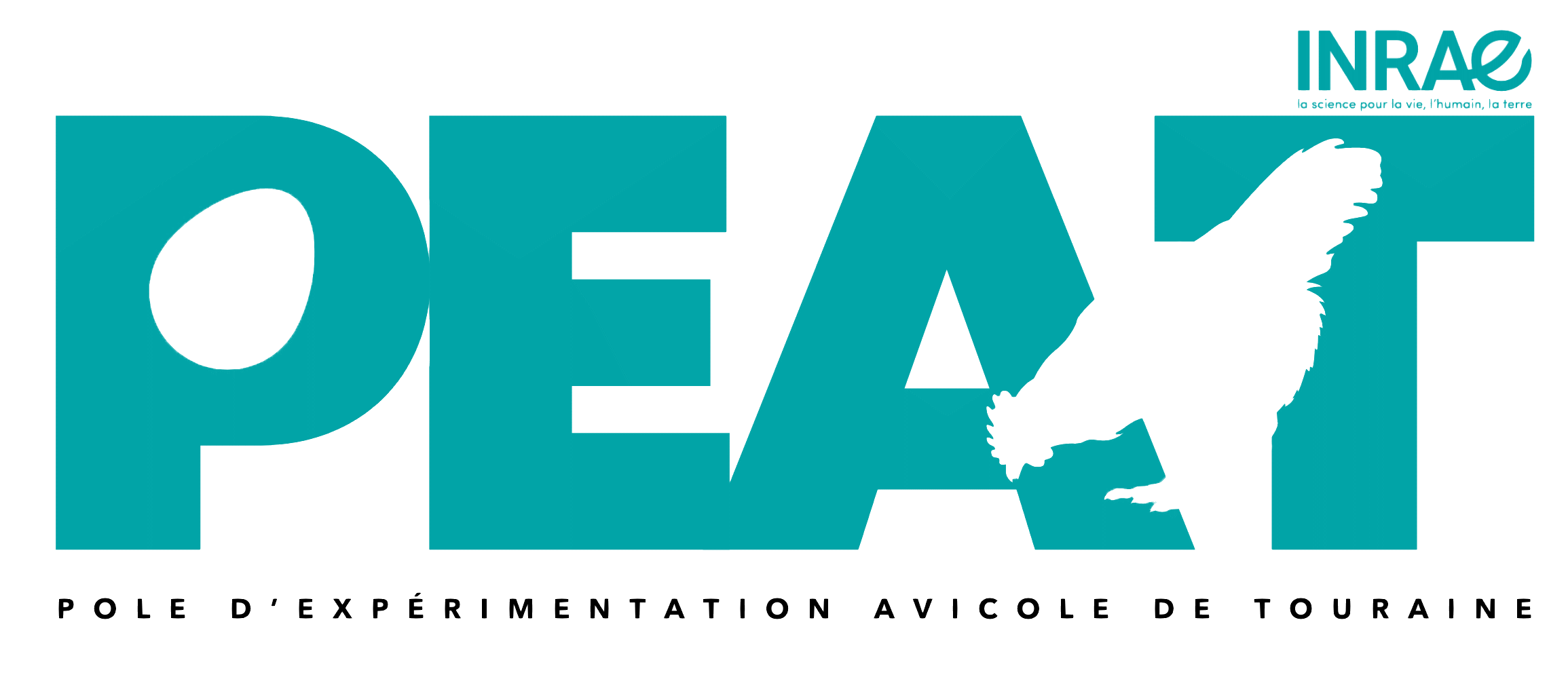 https://hal.inrae.fr/PEAT/public/Logo_PEAT_Couleur_Transparent.png